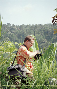 November 2004 in Bali