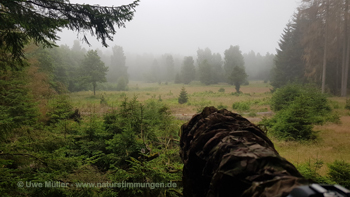 National Park Harz 2021