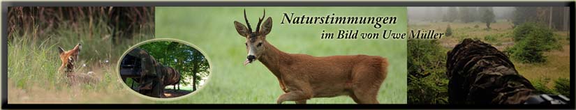 www.naturstimmungen.de