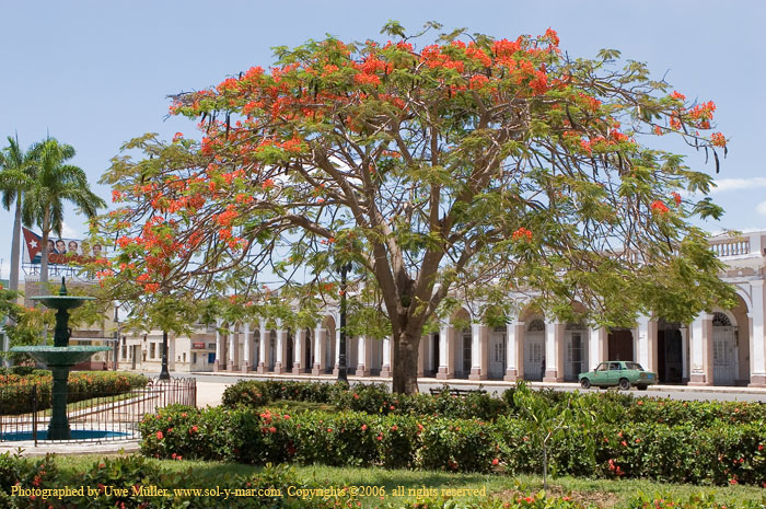 Cienfuegos