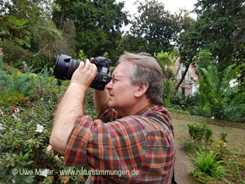 November 2022 on Madeira Island
