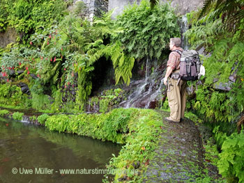 November 2022 on Madeira Island2