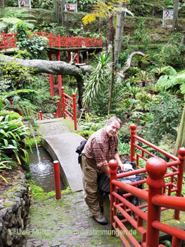 November 2022 on Madeira Island2