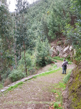 November 2022 on Madeira Island