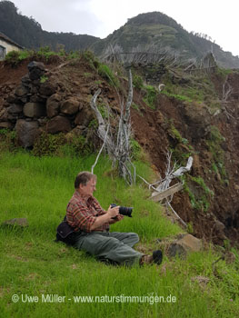 November 2022 on Madeira Island