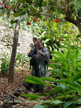 November 2022 on Madeira Island