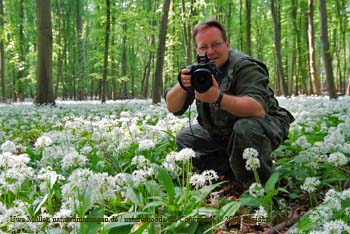 May 2009 in the Mönchbruch
