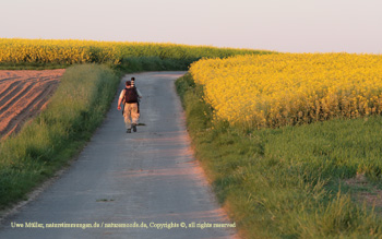 May 2008 near Erlensee