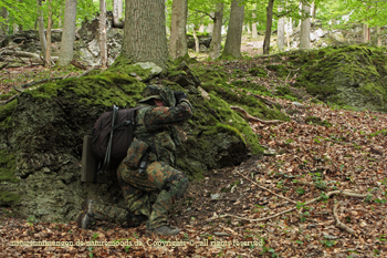June 2010 in the Hinterlandswald