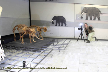 February 2008 in the Senkenberg Museum