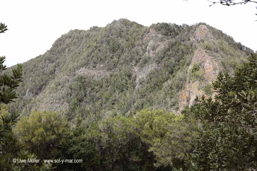 Las Carboneras-Tour